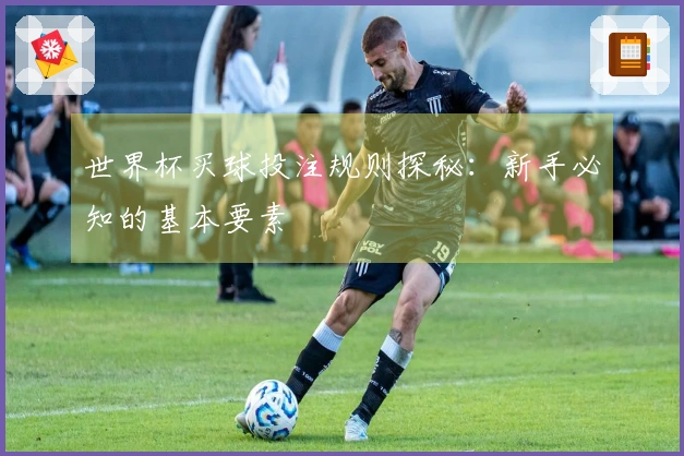 世界杯买球投注规则探秘：新手必知的基本要素