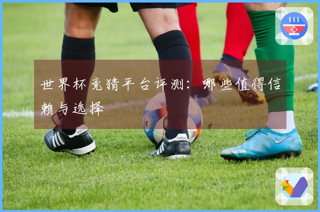 世界杯竞猜平台评测：哪些值得信赖与选择
