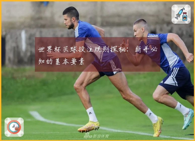 世界杯买球投注规则探秘：新手必知的基本要素