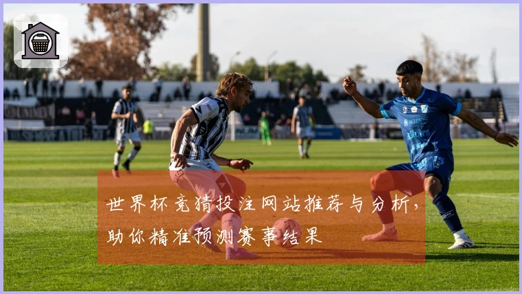 世界杯竞猜投注网站推荐与分析，助你精准预测赛事结果
